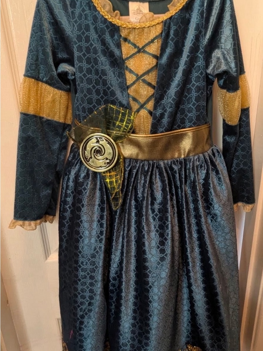 Disney Kids Blue and Gold Princess Merida Costume Dress